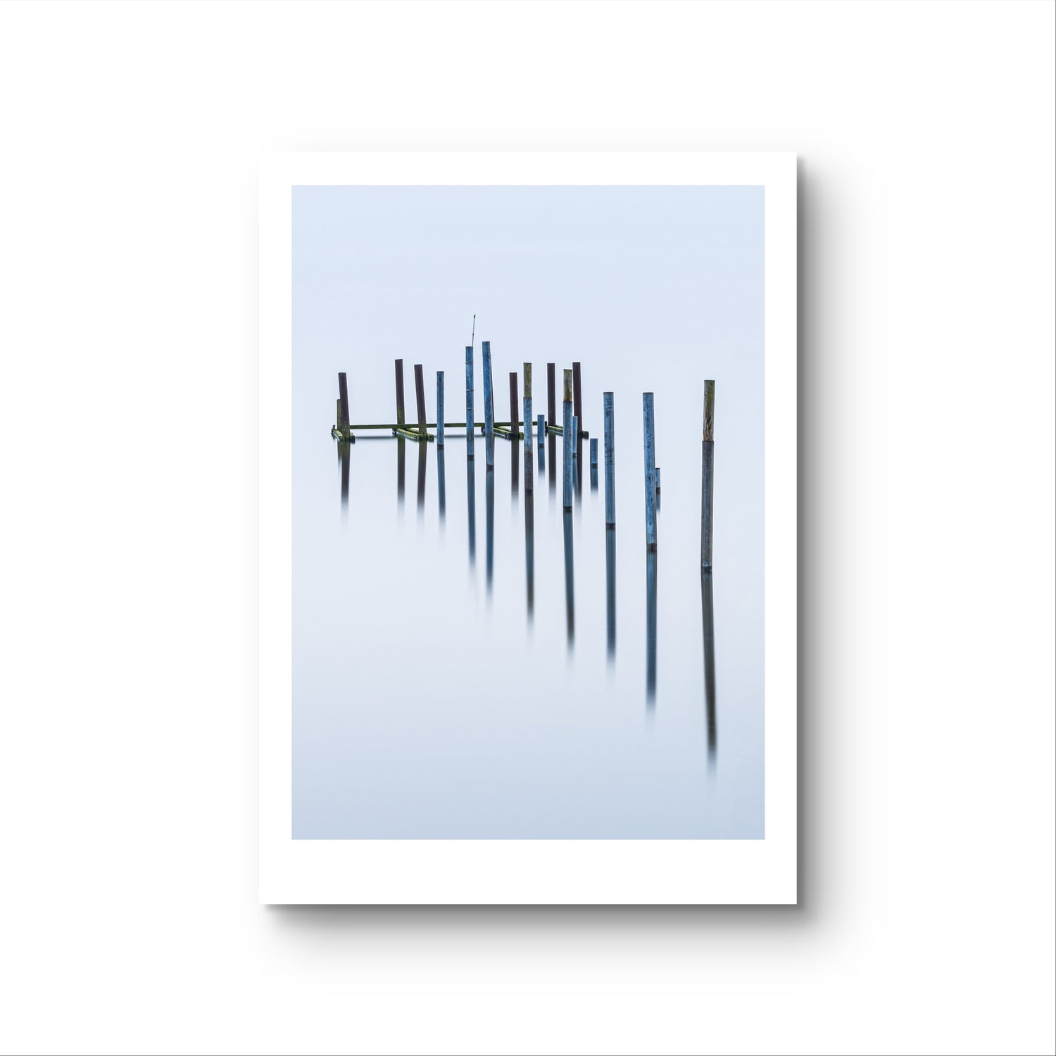 Plakater