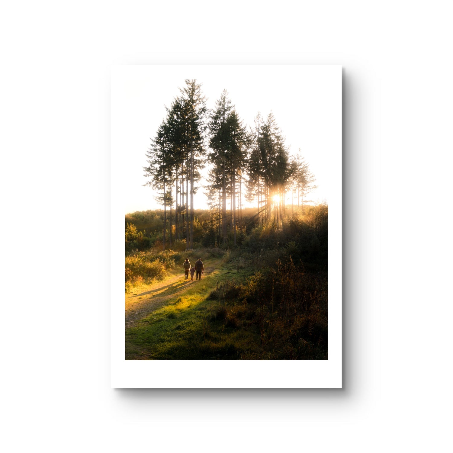 Landskabsfoto